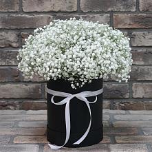 Цветочная композиция из Гипсофила в шляпной коробке в Юрьеве-Польском