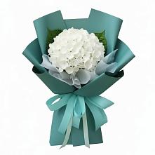 Букет цветов из:  Гортензия в Юрьеве-Польском